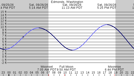 tide graph